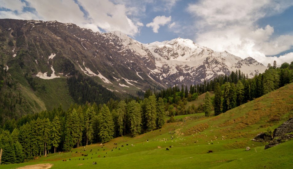 Great Himalayan National Park